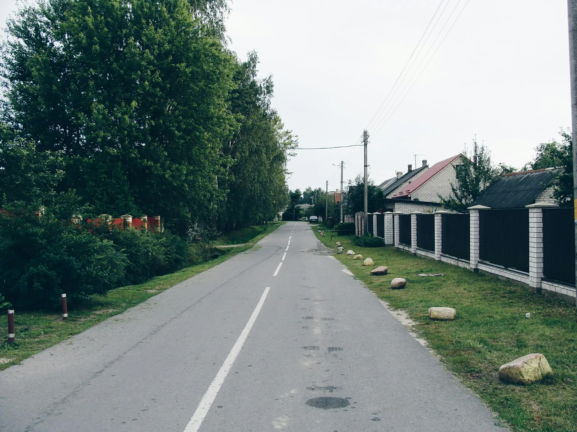 Residential street lined with large leafy trees
