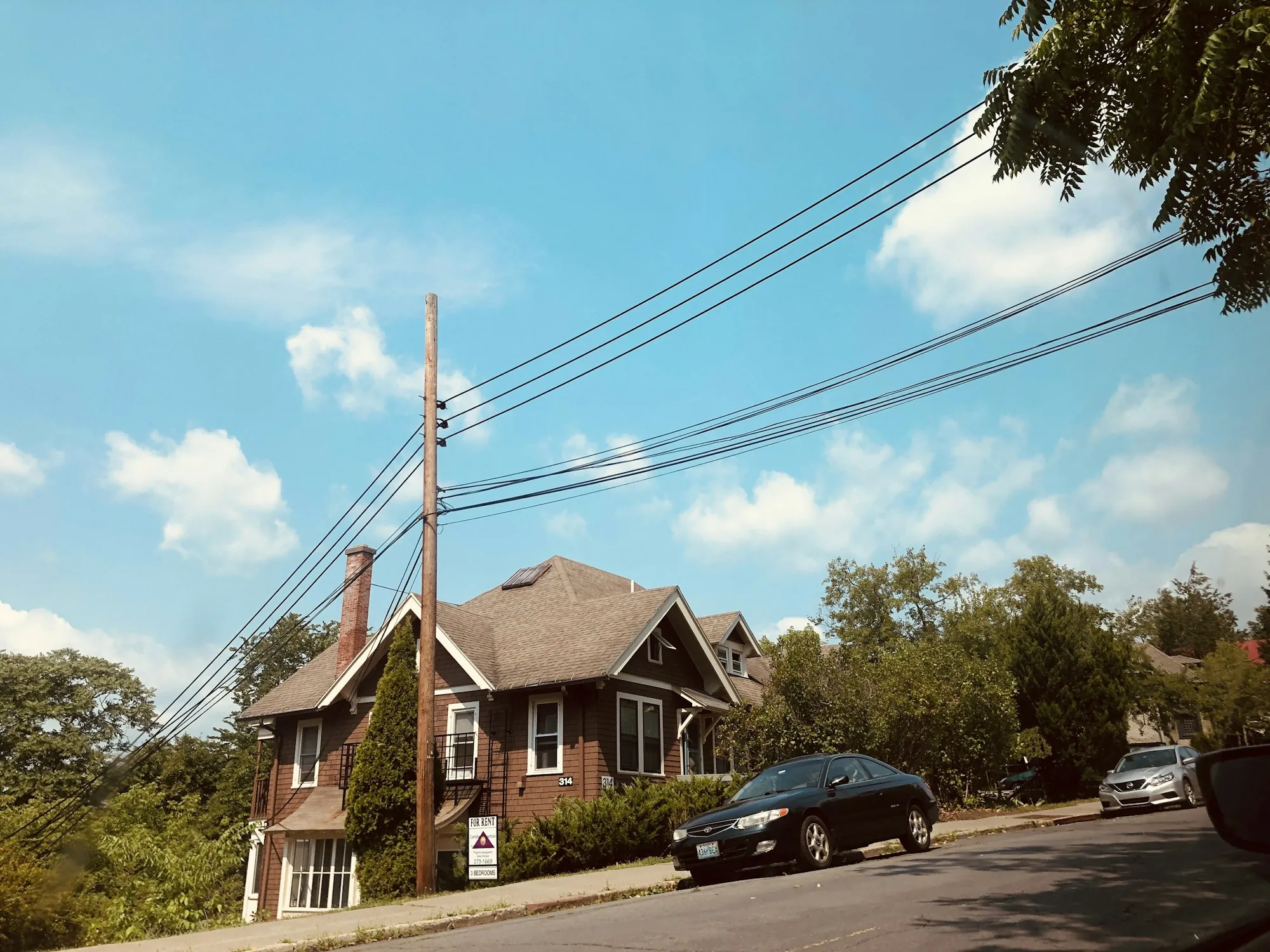 Trees beside a detached house